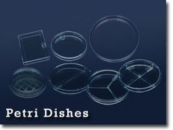 petri dishes